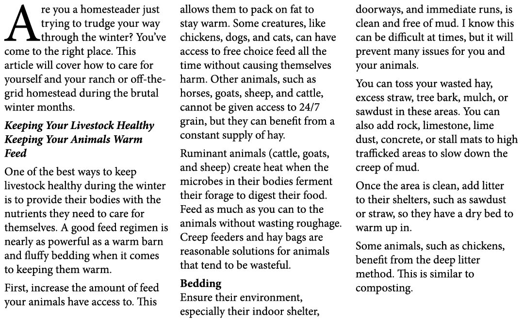 Are you a homesteader just trying to trudge your way through the winter? You’ve come to the right place. This article...